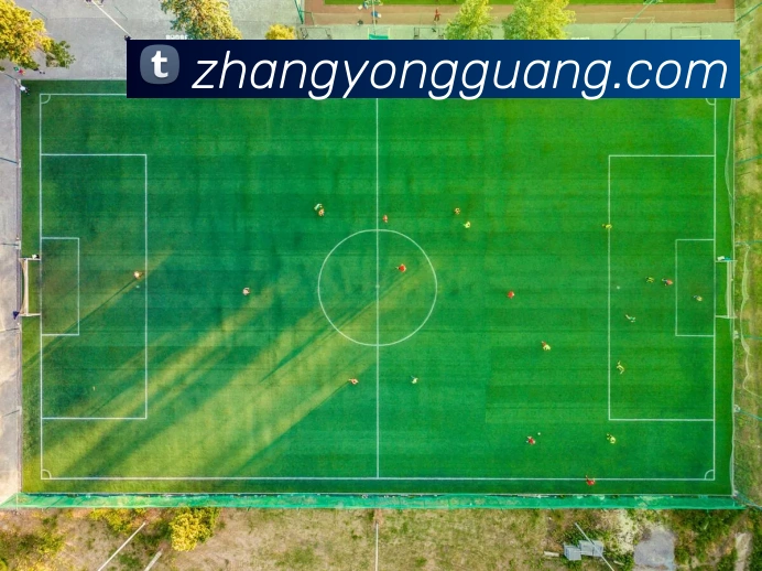 爱游戏ayx网页版入口平台生态图